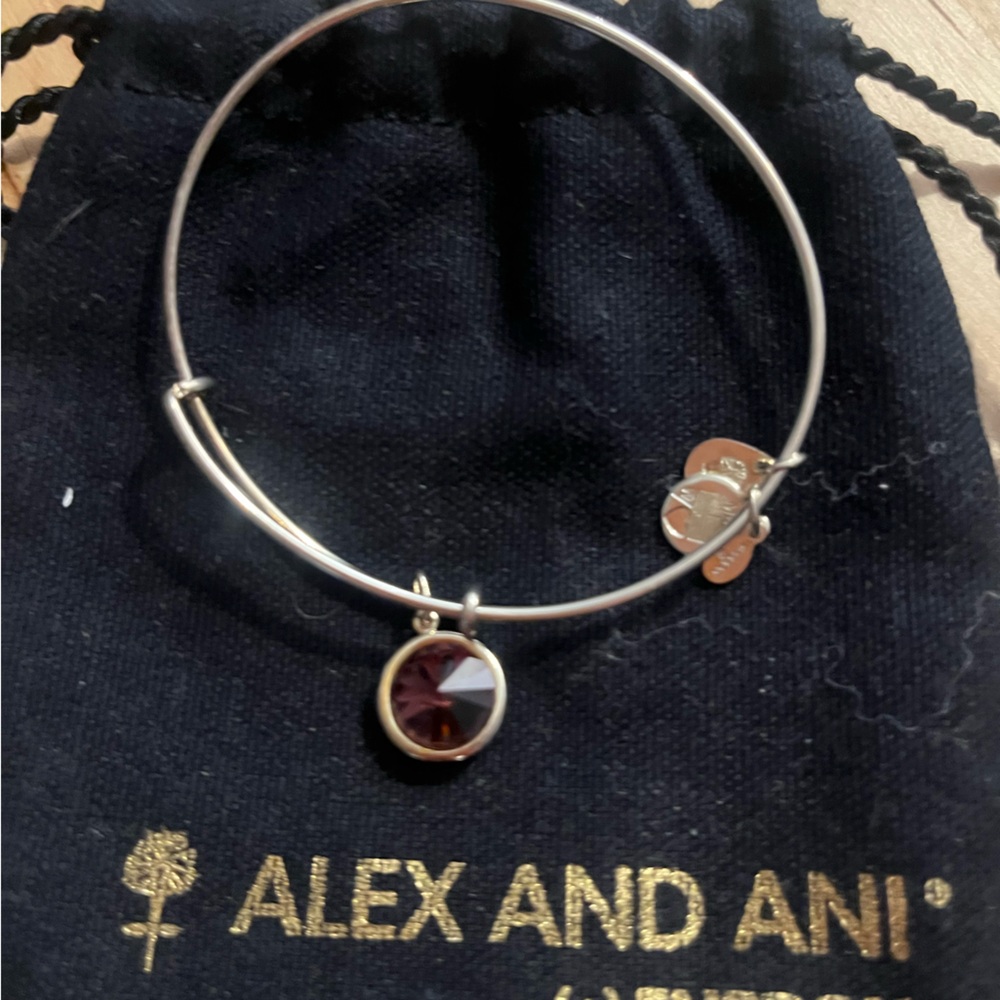 Alex and Ani silver bangle